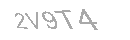 Güvenlik Kodu