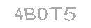 Güvenlik Kodu