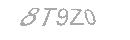 Güvenlik Kodu