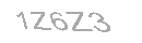 Güvenlik Kodu
