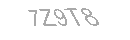 Güvenlik Kodu