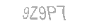 Güvenlik Kodu