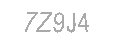 Güvenlik Kodu