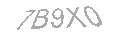 Güvenlik Kodu