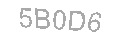 Güvenlik Kodu