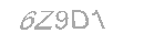 Güvenlik Kodu
