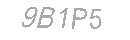 Güvenlik Kodu