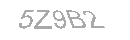 Güvenlik Kodu