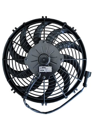 Fan